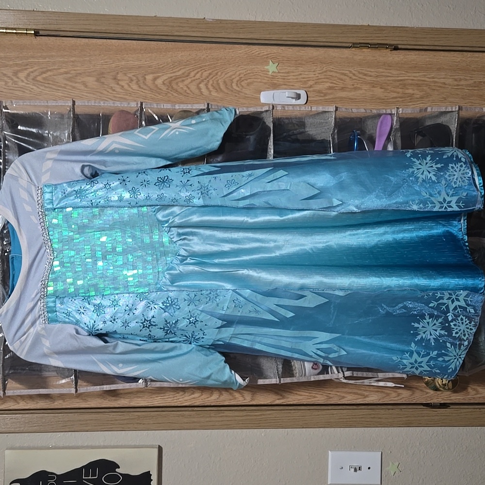Disney Frozen Elsa Reversible Costume